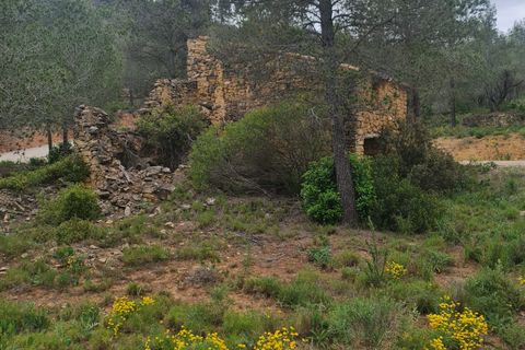 Landejendom i Asco, Tarragona, Asco - € 12.500 | Ref: 959 Lasco - foto 3